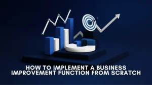 How to Implement a Business Improvement Function from Scratch